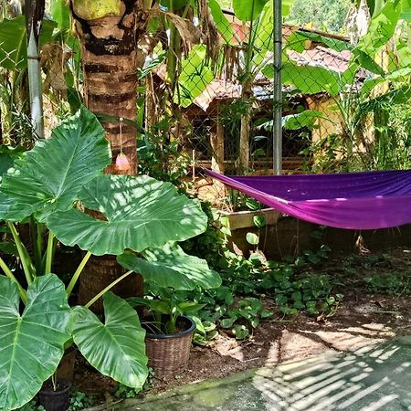 La Maison De Soriya - Work & Stay كامبوت المظهر الخارجي الصورة